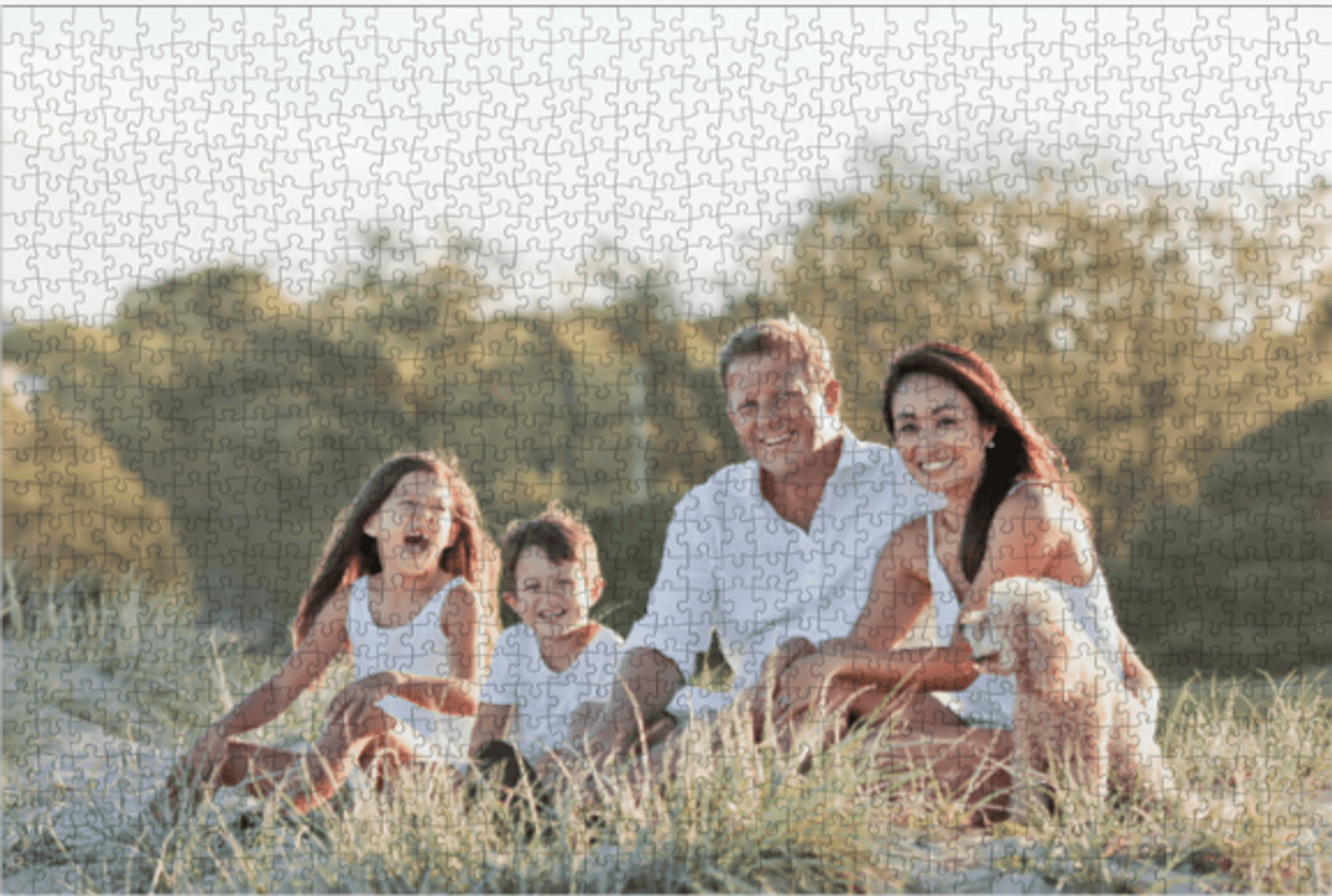 Personalized Photo Large Jigsaw Puzzle 1014 Pieces For Families and Couples